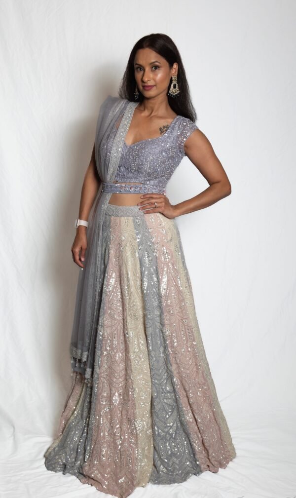 Lucknowi Multi-Colored Lehanga Choli